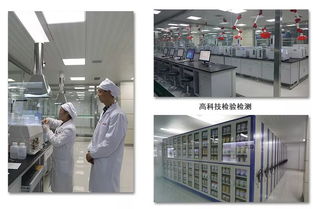 品质护航 企业软件公司如何保持核心竞争力